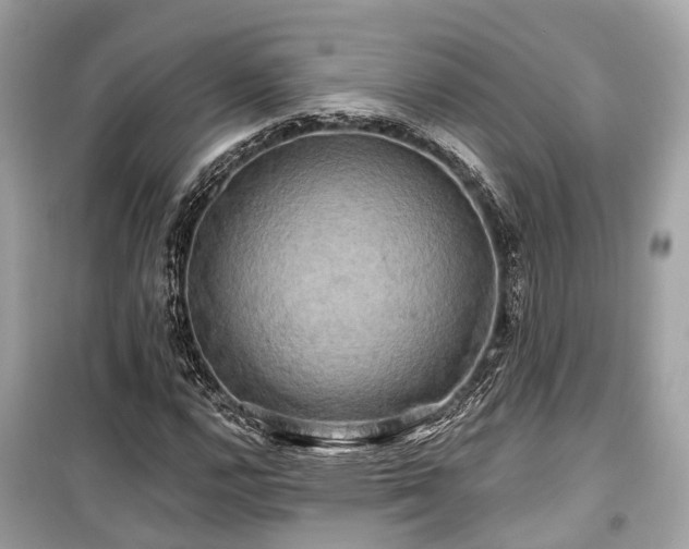X0000099421112200805161039
