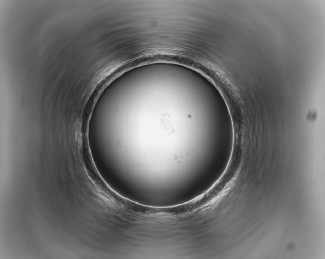 X0000099421113200805161039