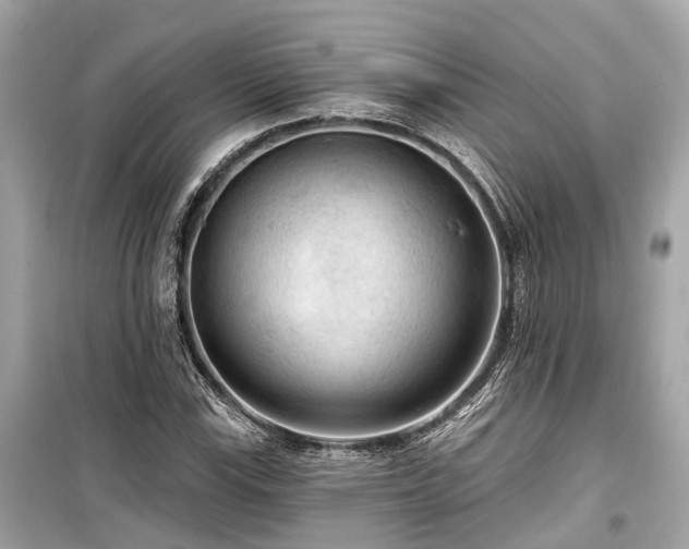 X0000099421115200805161039