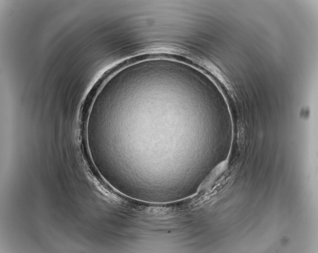 X0000099421116200805161039