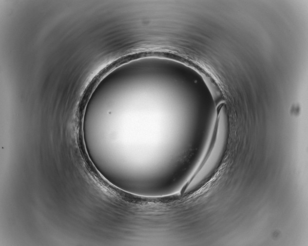 X0000099421119200805161039