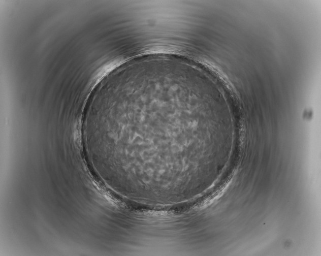 X0000099421121200805161039