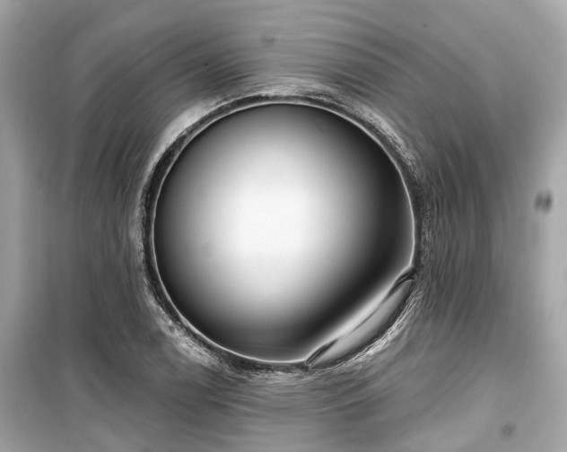 X0000099421122200805161039