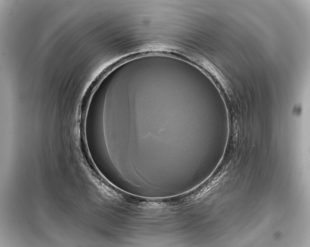 X0000099421124200805161039