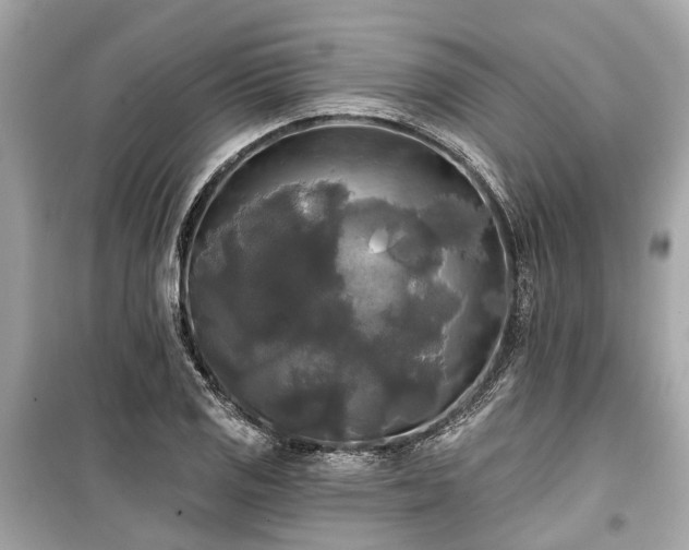 X0000099421125200805161039