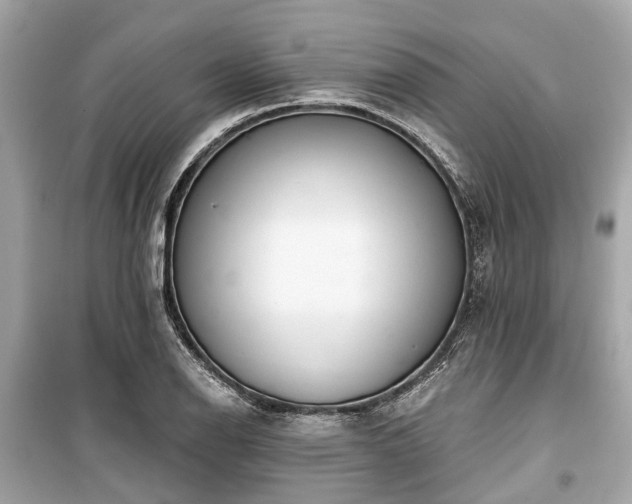 X0000099421126200805161039