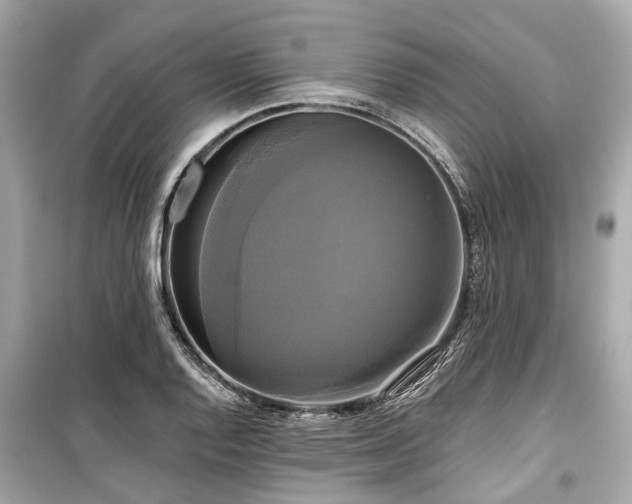 X0000099421128200805161039