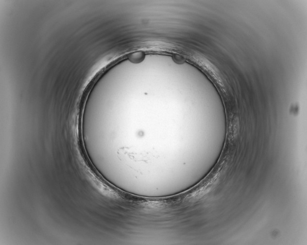 X0000099421130200805161039