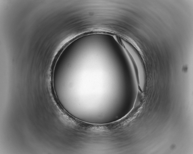X0000099421133200805161039