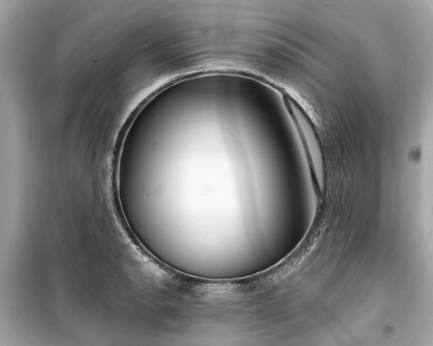 X0000099421134200805161039