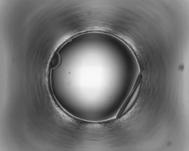 X0000099421135200805161039