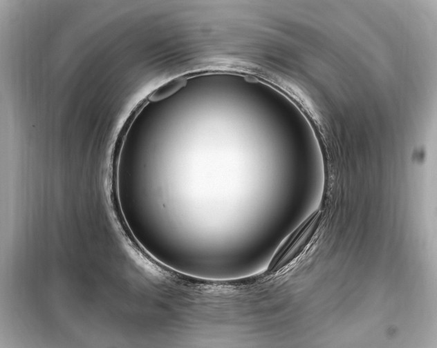 X0000099421136200805161039