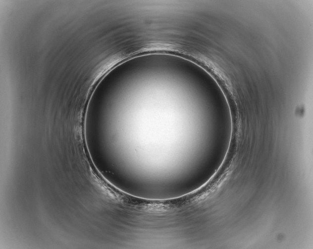 X0000099421137200805161039