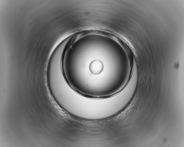 X0000099421138200805161039