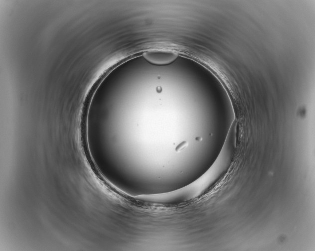 X0000099421139200805161039
