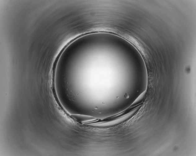 X0000099421140200805161039