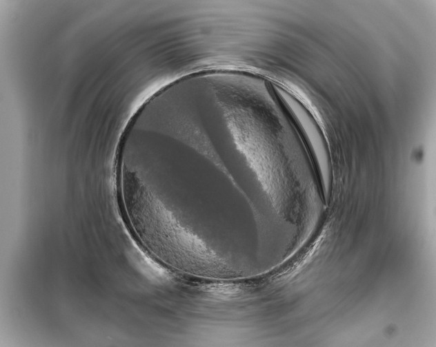 X0000099421141200805161039
