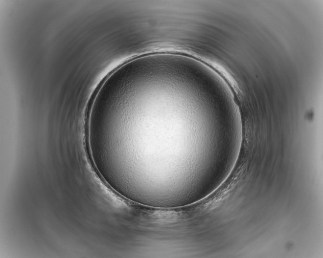 X0000099421142200805161039