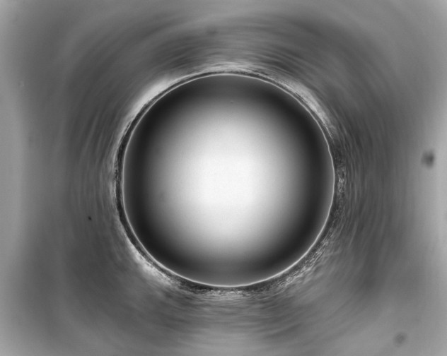 X0000099421143200805161039
