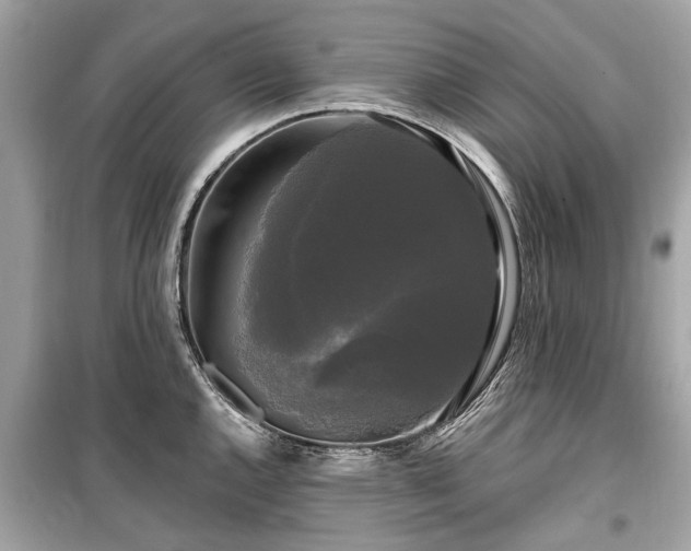 X0000099421144200805161039