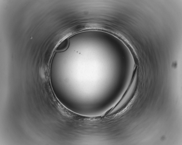 X0000099421145200805161039