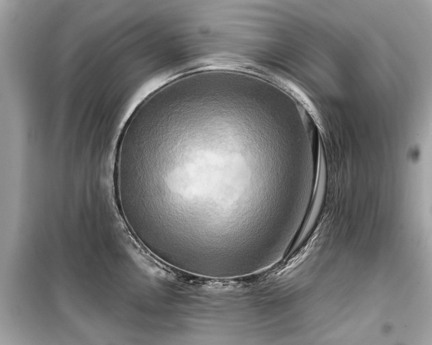 X0000099421146200805161039