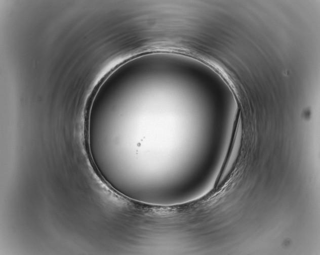 X0000099421147200805161039