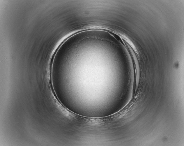 X0000099421148200805161039