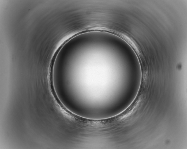 X0000099421149200805161039