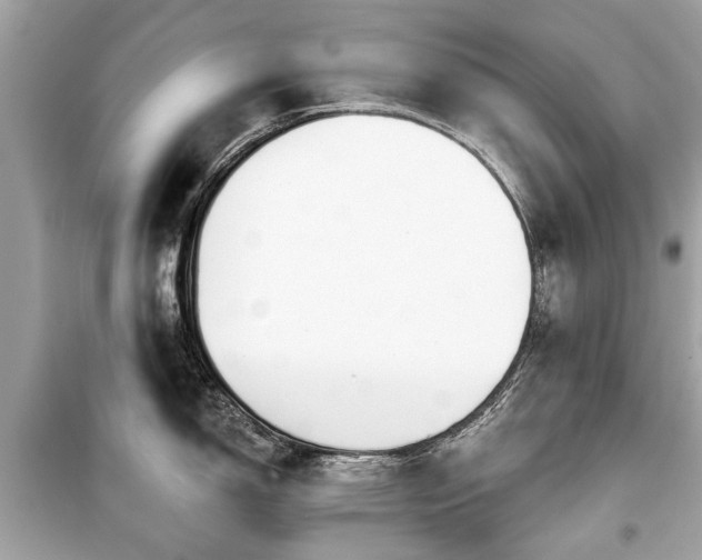 X0000099421150200805161039