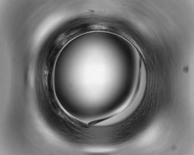 X0000099421151200805161039