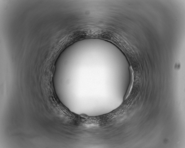 X0000099421153200805161039