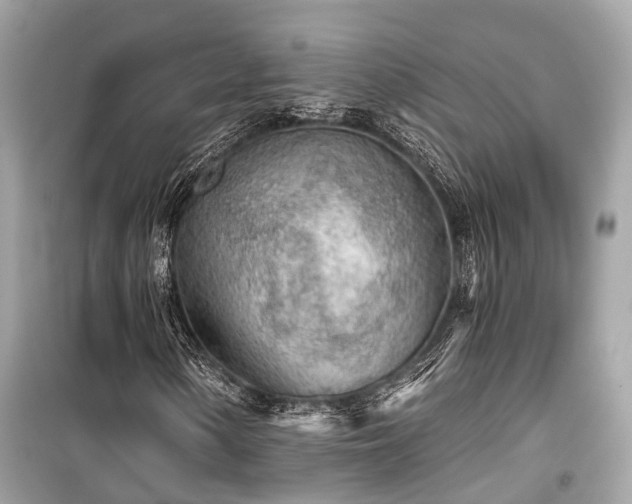 X0000099421154200805161039