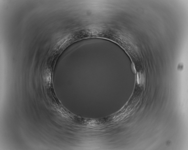 X0000099421155200805161039