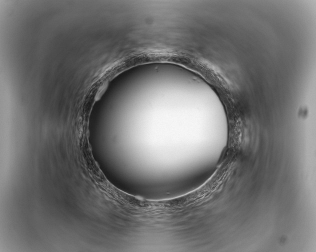 X0000099421157200805161039