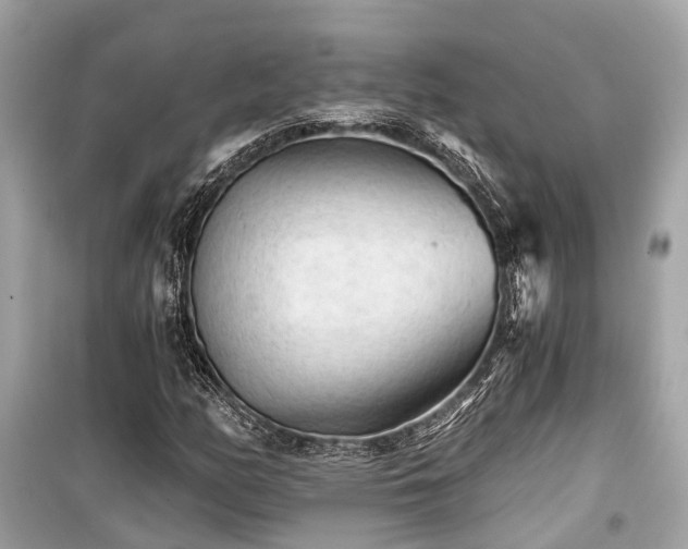 X0000099421158200805161039