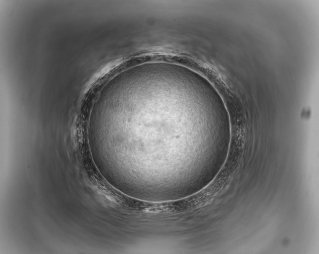 X0000099421159200805161039
