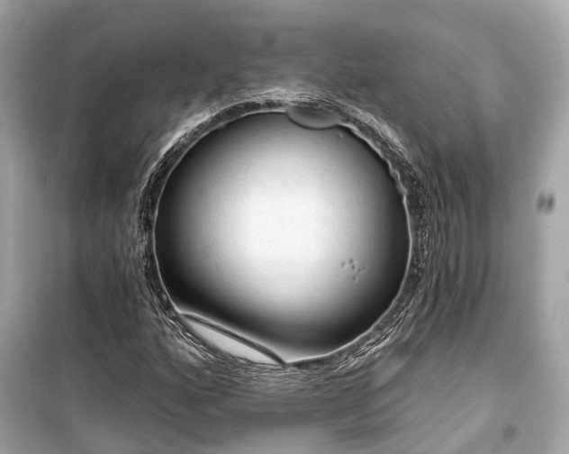 X0000099421160200805161039