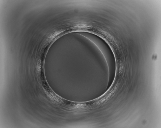 X0000099421161200805161039
