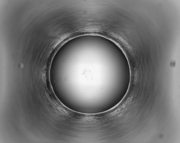 X0000099421162200805161039
