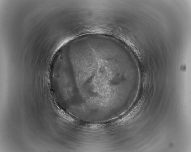 X0000099421163200805161039