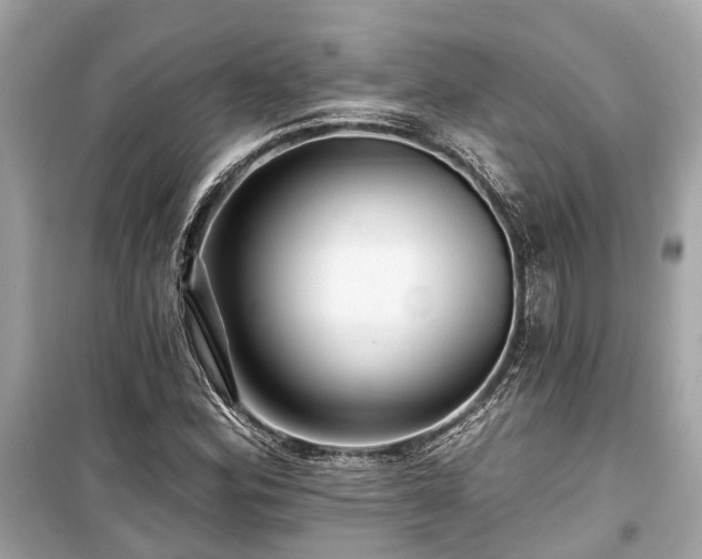 X0000099421164200805161039