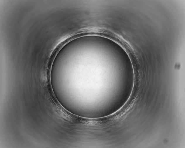 X0000099421166200805161039