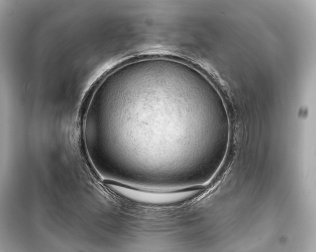 X0000099421167200805161039