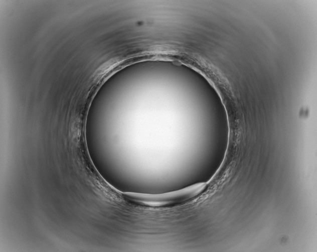 X0000099421169200805161038