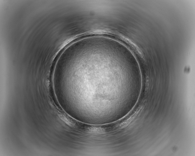 X0000099421170200805161038