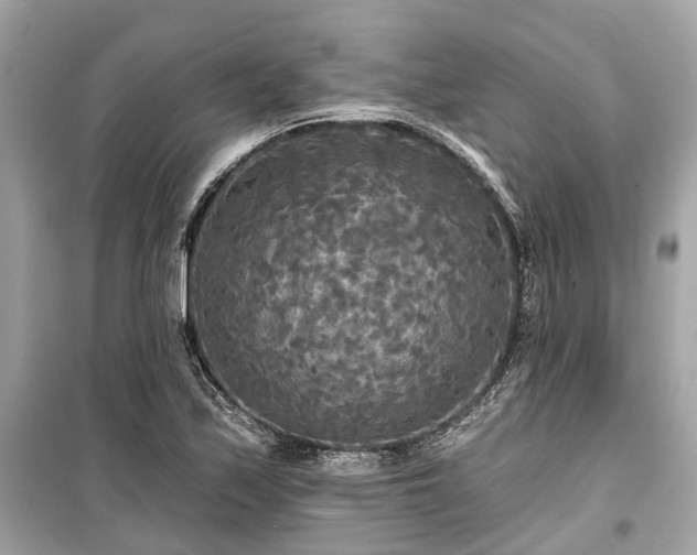 X0000099421171200805161038