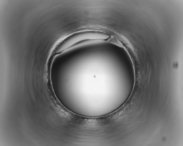 X0000099421172200805161038