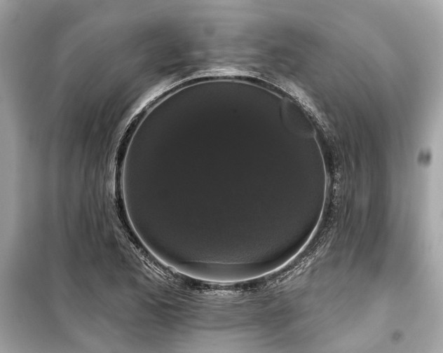 X0000099421173200805161038