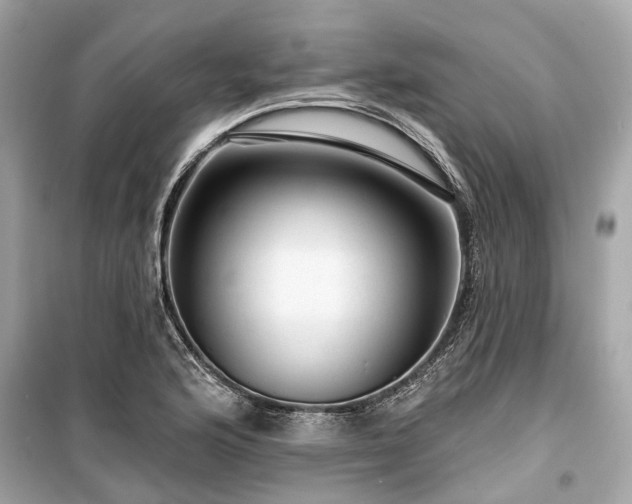 X0000099421176200805161038